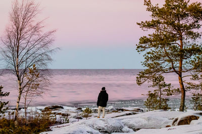 Rear view of person looking at tree during winter