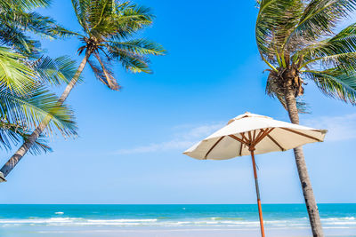 Coconut palm tree by sea against blue sky