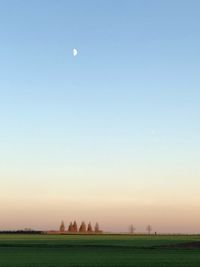 Scenic view of agricultural field against clear sky