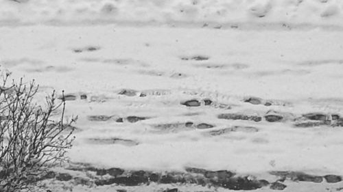 Close-up of snow against sky