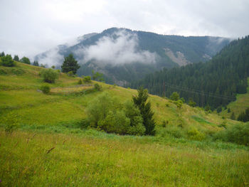 Scenic view of the rhodope mountains.