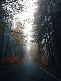 Road amidst trees in forest during autumn