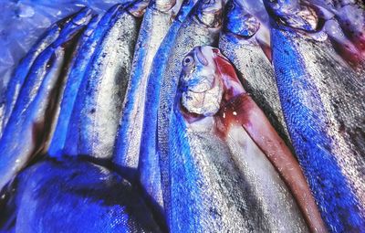 Full frame shot of colorful fabric