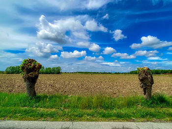 Scenic view of field against sky