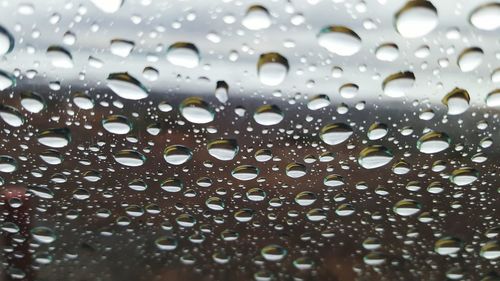 Close-up of water drops on leaf