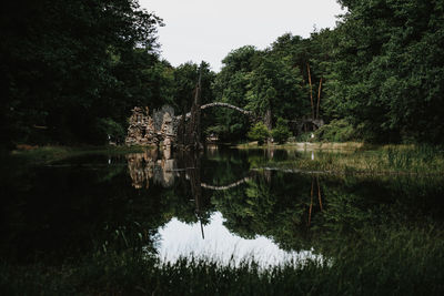 Scenic view of lake in forest