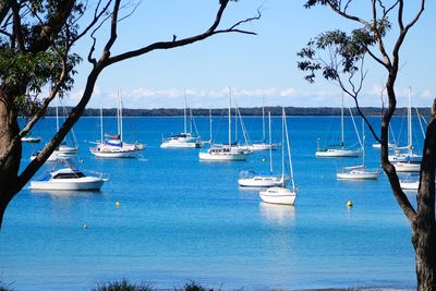 Sailboats moored in sea against sky