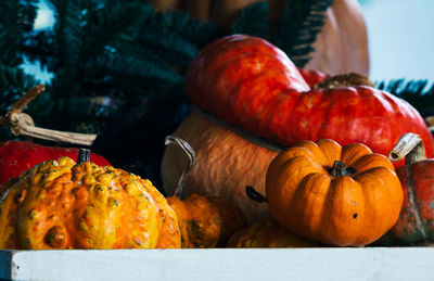 Close-up of pumpkins on table