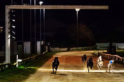 People running at night