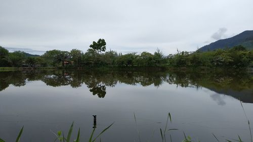 Scenic view of lake against sky