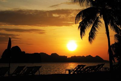 Silhouette plants by swimming pool against sky during sunset