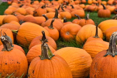 Full frame shot of pumpkins in market