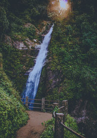 Scenic view of waterfall in forest