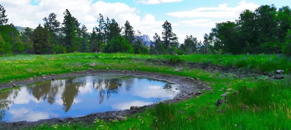 Scenic view of lake by grassy field against sky