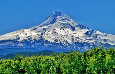 Scenic view of snowcapped mountains against clear blue sky