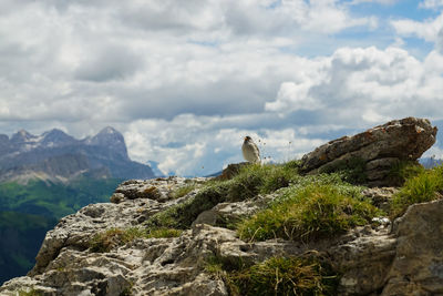 Scenic view of rock formation against sky