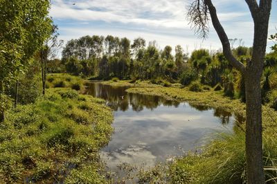 Scenic view of lake against sky