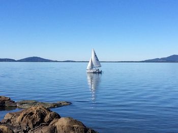 Sailboat sailing in sea against clear blue sky