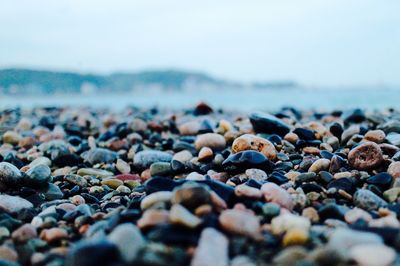 Surface level of pebbles on beach