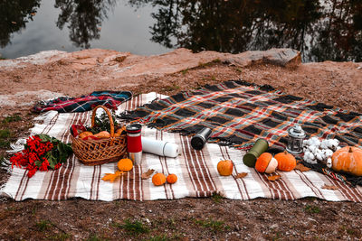 Autumn picnic with thermos and pumpkins, cotton branch, croissants. concept of warm sunny autumn day