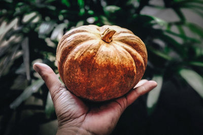 Close-up of hand holding fruit
