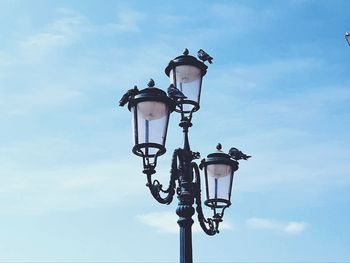 Pigeons perching on lamp post