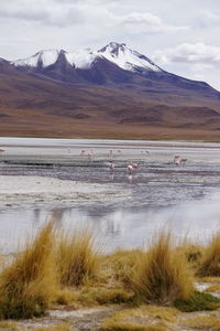 Scenic view of lake and mountains against sky