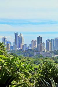 Trees and buildings in city against sky