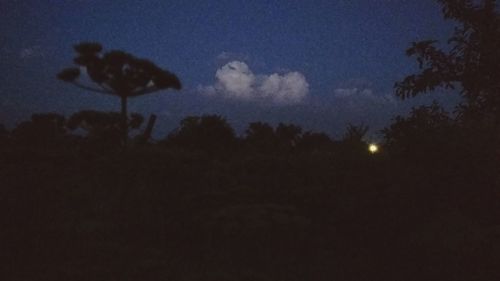 Low angle view of silhouette trees against sky at night