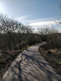 Road amidst bare trees against sky