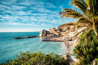 High angle view of palm trees by sea