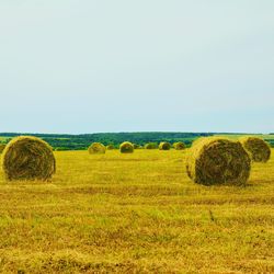 Hay bales in field against clear sky