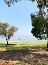 View of trees on field against sky