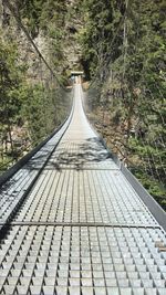 Walkway amidst trees