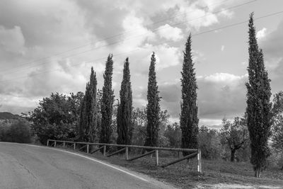 Road amidst trees on field against sky