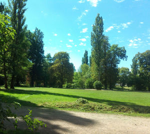 Trees on field against sky