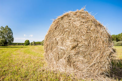 Close-up of hay bales on landscape against clear sky