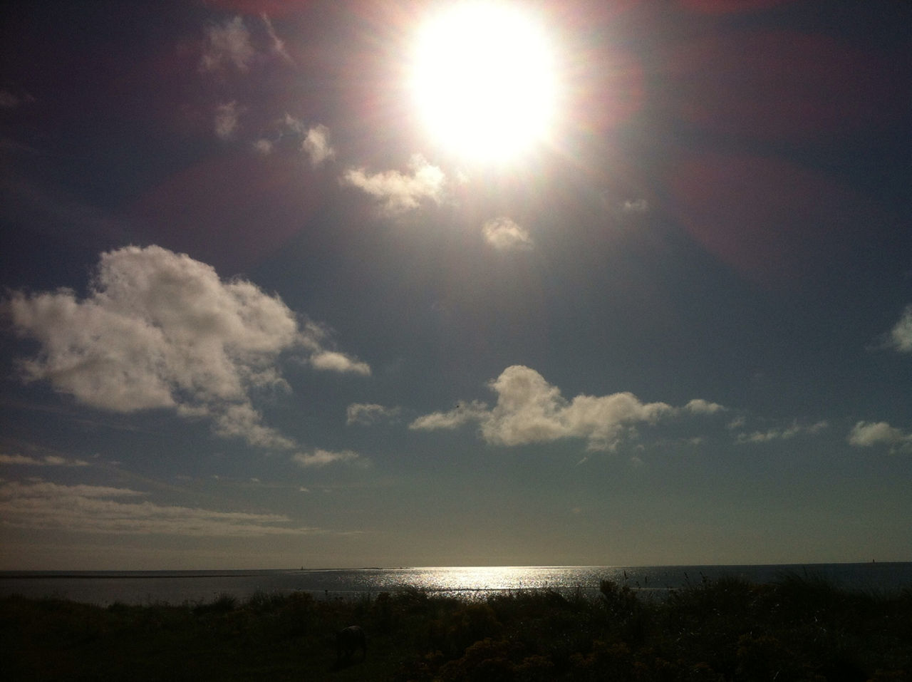 sun, sea, horizon over water, sky, tranquil scene, water, scenics, tranquility, sunbeam, beauty in nature, sunlight, beach, nature, lens flare, cloud - sky, idyllic, reflection, cloud, shore, bright