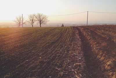 Scenic view of rural landscape