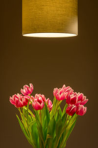 Close-up of pink tulips in vase