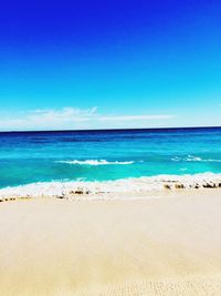 Scenic view of beach against blue sky