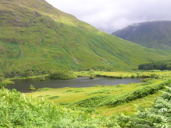 Scenic view of green landscape against sky