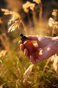 Cropped image of hand holding bottle on field