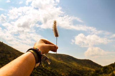 Cropped image of hand holding plant