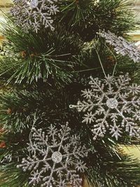 Low angle view of christmas tree against sky