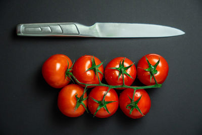 High angle view of tomatoes against black background