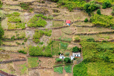 High angle view of man working at farm