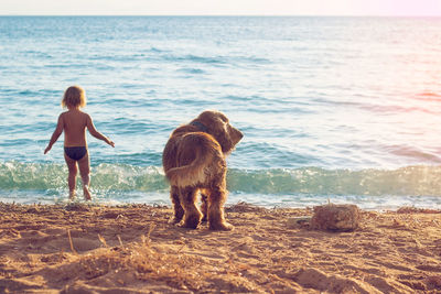 Rear view of dog standing on beach