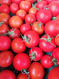 High angle view of tomatoes for sale at market