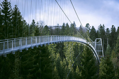 Landscape with a suspension bridge in the black forest national park, in bad wildbad, germany. 